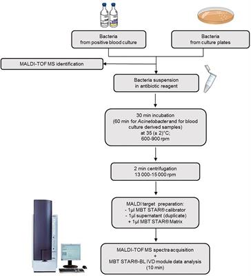 Performance Evaluation of the MBT STAR®-Carba IVD Assay for the Detection of Carbapenemases With MALDI-TOF MS